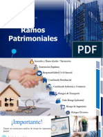 Presentacion Ramos Patrimoniales