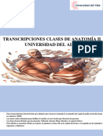 2. Transcripciones Clases Anatomia 2 Parte 1