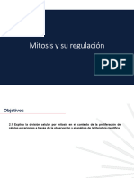 Clase 3 Mitosis y Su Regulación