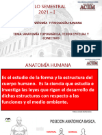 Ppt. Anatomía y Epitelio - I, Tejido Conectivo