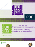 Rasgos Sociales, Politicos y Culturales de Los Pueblos Etnicos - Segundo Corte - Electiva Iii