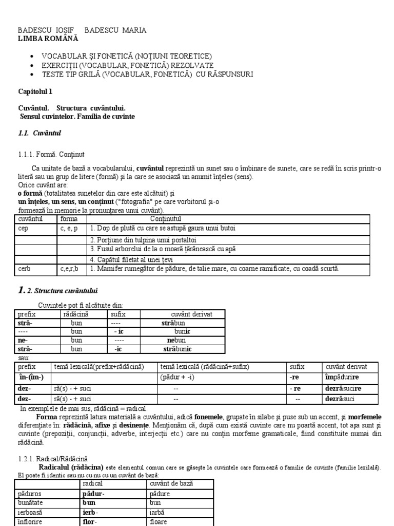 23560819 Vocabular Semantica Teorie Exercitii