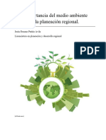 La Importancia Del Medio Ambiente Con La Planeación Regional - JesusErasmoPatiñoAvila - II