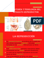 Clase 1 Sistema Reproductor