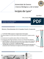 Principio de Lyon