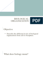 Biological Organization