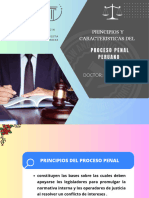 Principios y Caracteristicas Del Proceso Penal Peruano