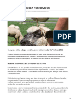 palavrareveladaoficial.com.br-A OVELHA E A MOSCA NOS OUVIDOS