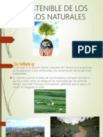 Sostenibilidad de Los Recursos Naturales