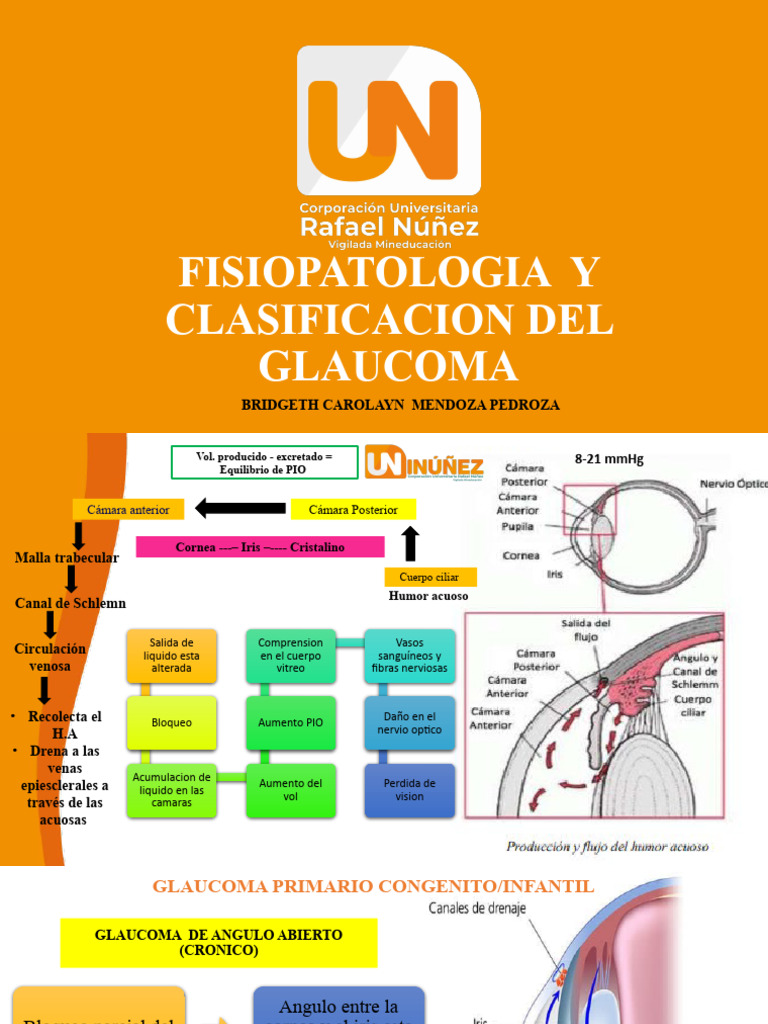 Tipos y Causas del Glaucoma | PDF | Glaucoma | Ojo humano