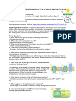 ECOSYSTEM Light Dependent Reation