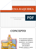 Raquidea Exposicion