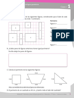 Perímetro y Area