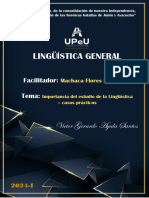 Importancia de La Linguistica-Casos Prácticos