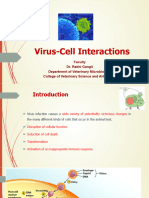Virus Cell Interactions