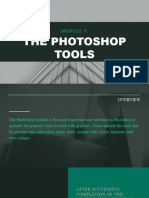 Module 5 Photoshop Tools