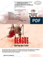 Prevencion Del Dengue PPT 234