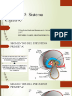 Capítulo 15 Sistema Digestivo