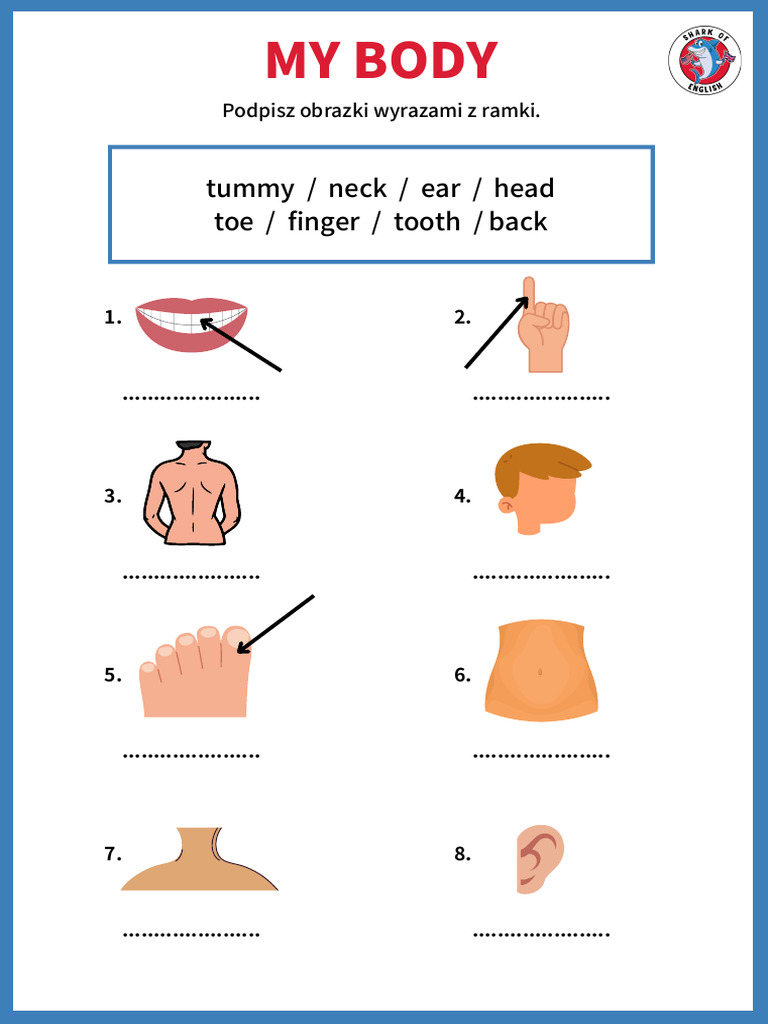 My Body kl2 | PDF