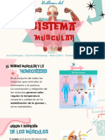 Sistema muscular anatomía 