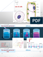 03 Movement in and Out of Cells