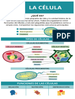 Actividades - La Celula