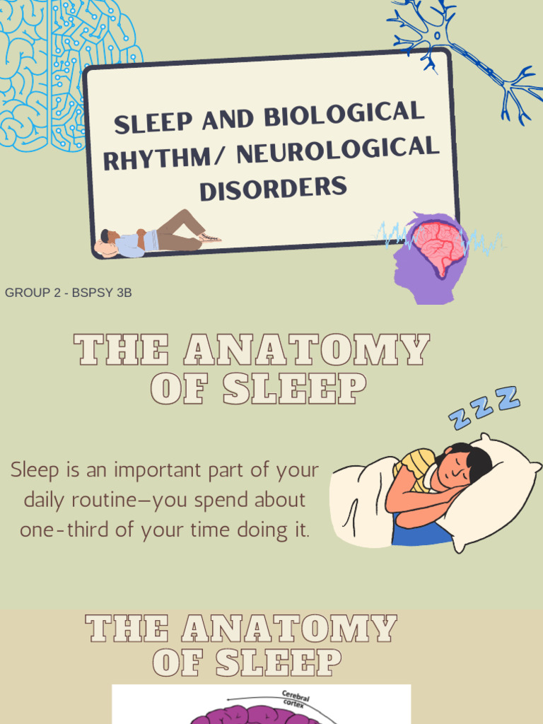 Sleep, Biological Rhythms, and Disorders | PDF | Rapid Eye Movement ...