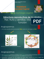 Estructuras Reproductivas 1