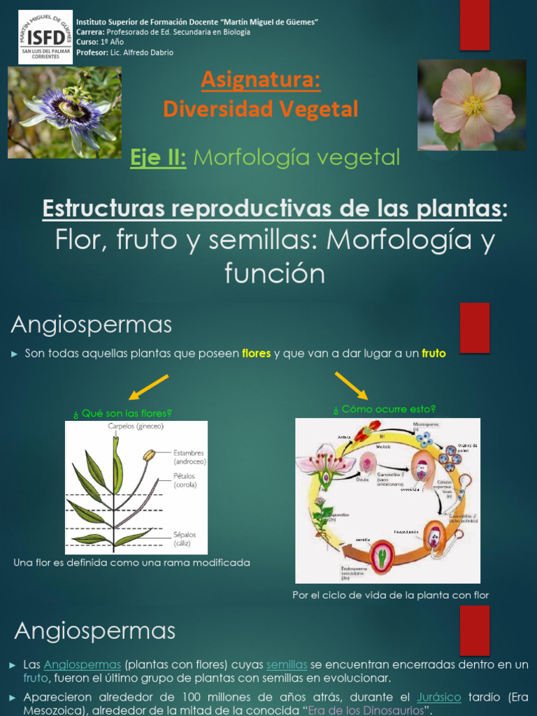 Morfología y función de angiospermas | PDF | Flores | Polen