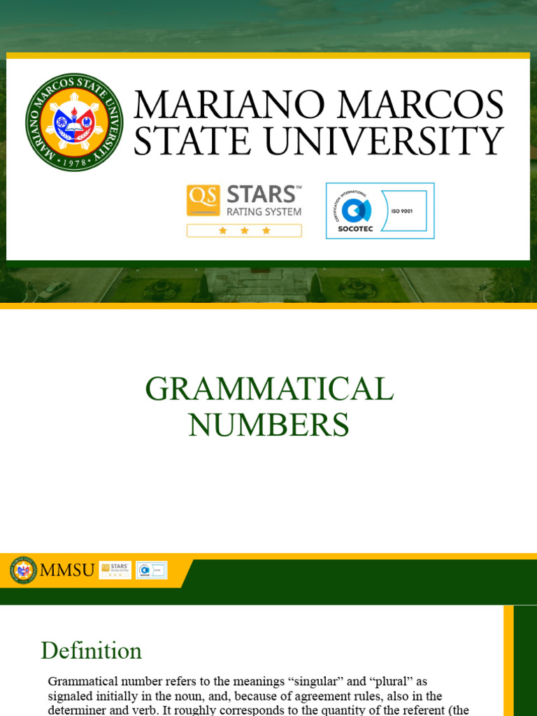 Understanding Grammatical Numbers | PDF | Plural | Grammatical Number