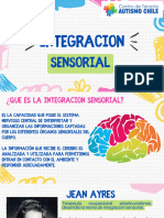 Integracion Sensorial 2