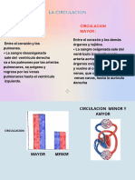 Tarea 3 de Anatomia