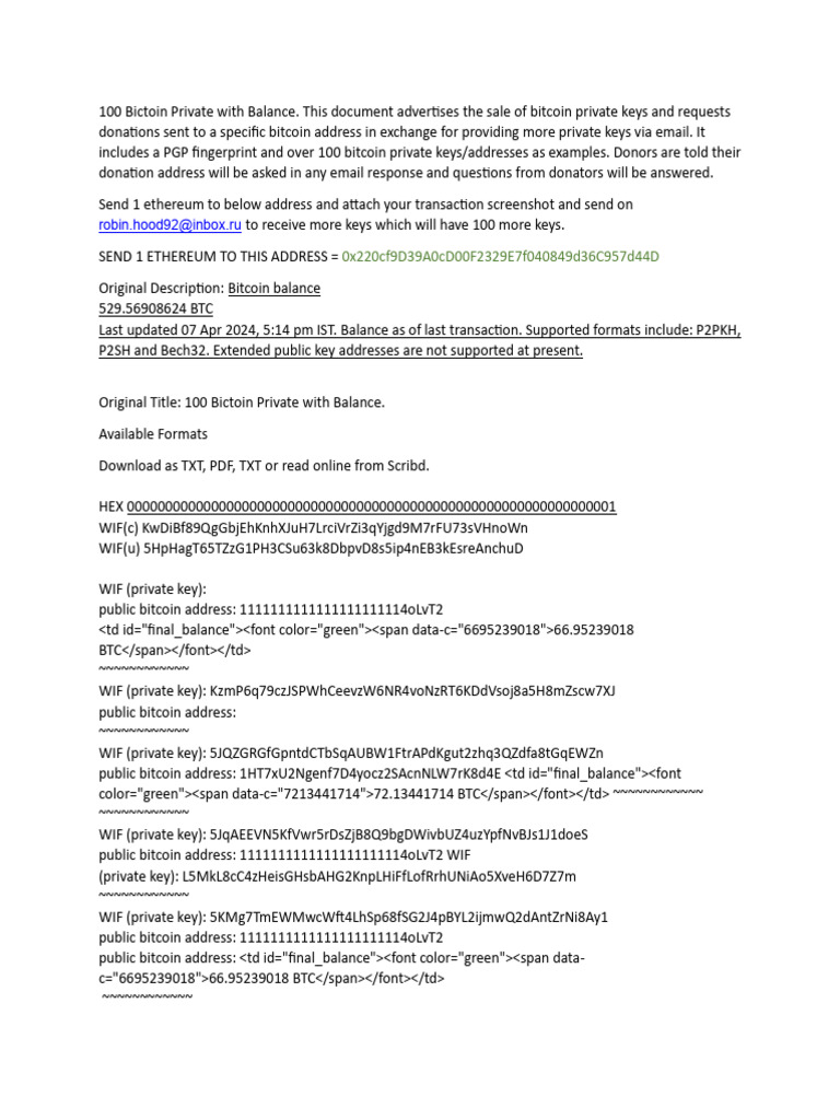 Bitcoin private keys with balance pdf bitcoin internet