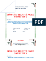 Báo Cáo Thực Tế Nghề: Ngành: Thú Y