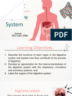 Digestive System