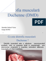 Distrofia Duschenne