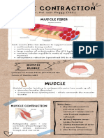 IB Biology Muscle Contraction Notes