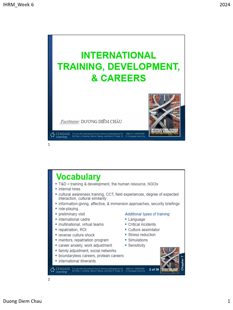 International Training & Development Strategies | PDF | Cognitive ...