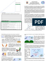 Ficha Lectura Vectores 5to Sec.