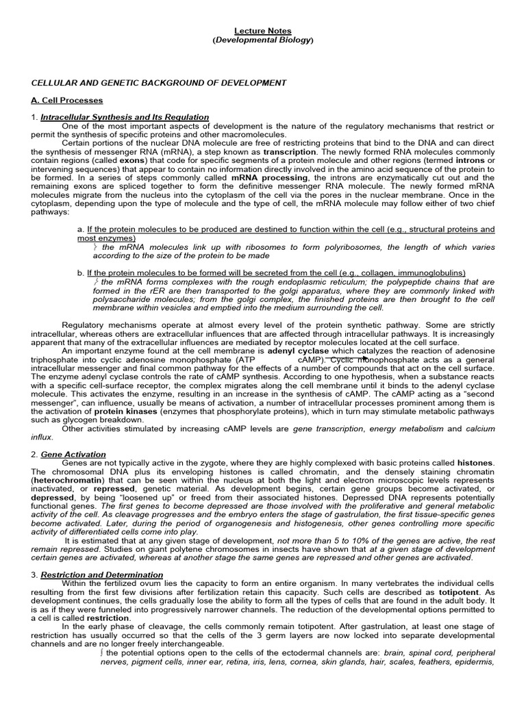 Cell processes hand out 21 pdf messenger rna cell nucleus