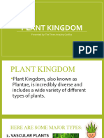 Plant Kingdom