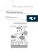 Sistema Hormonal