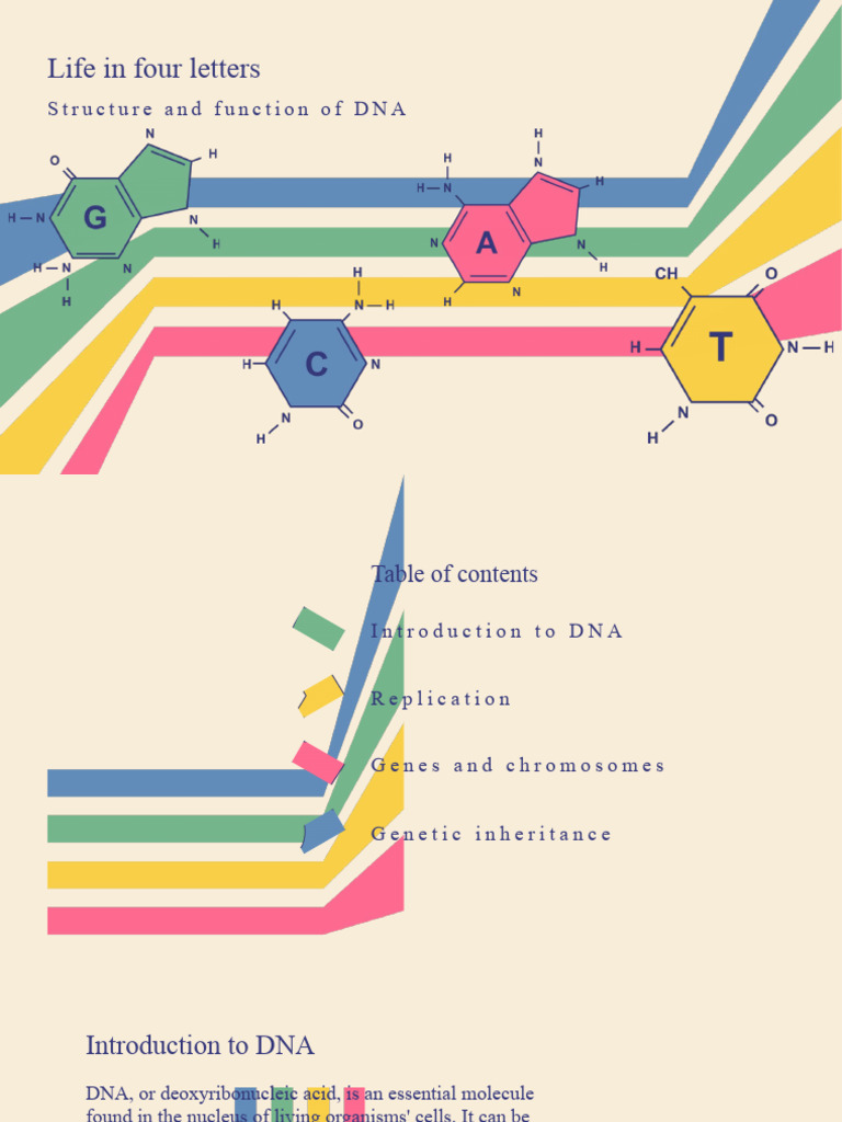 Understanding DNA Structure and Function | PDF | Dna | Genetics