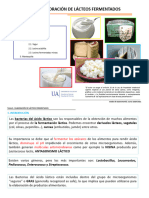 Tema 9. ELABORACIÓN. LÁCTEOS