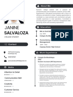 Simple Professional CV Resume