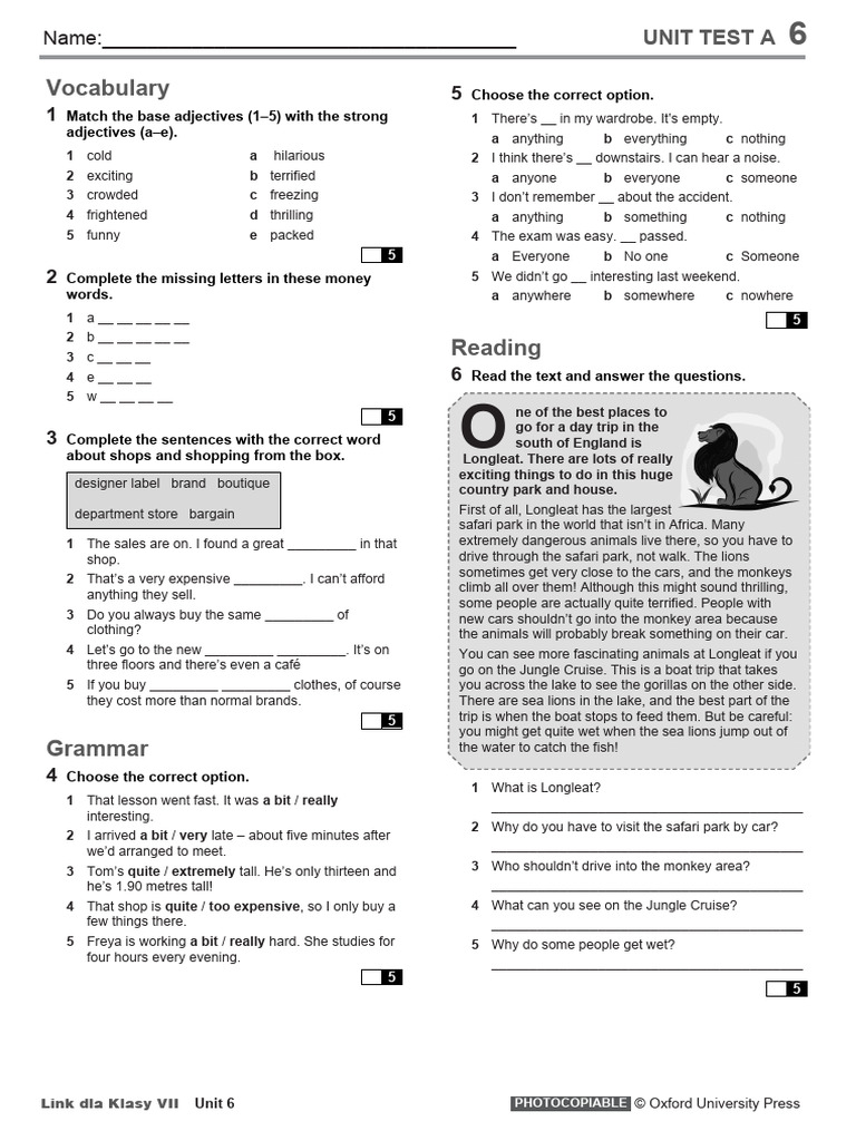 Link VII Unit 6 Test A | PDF