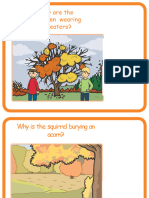 1 - Cause and Effect Cards
