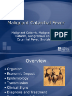 Malignant Catarrhal Fever