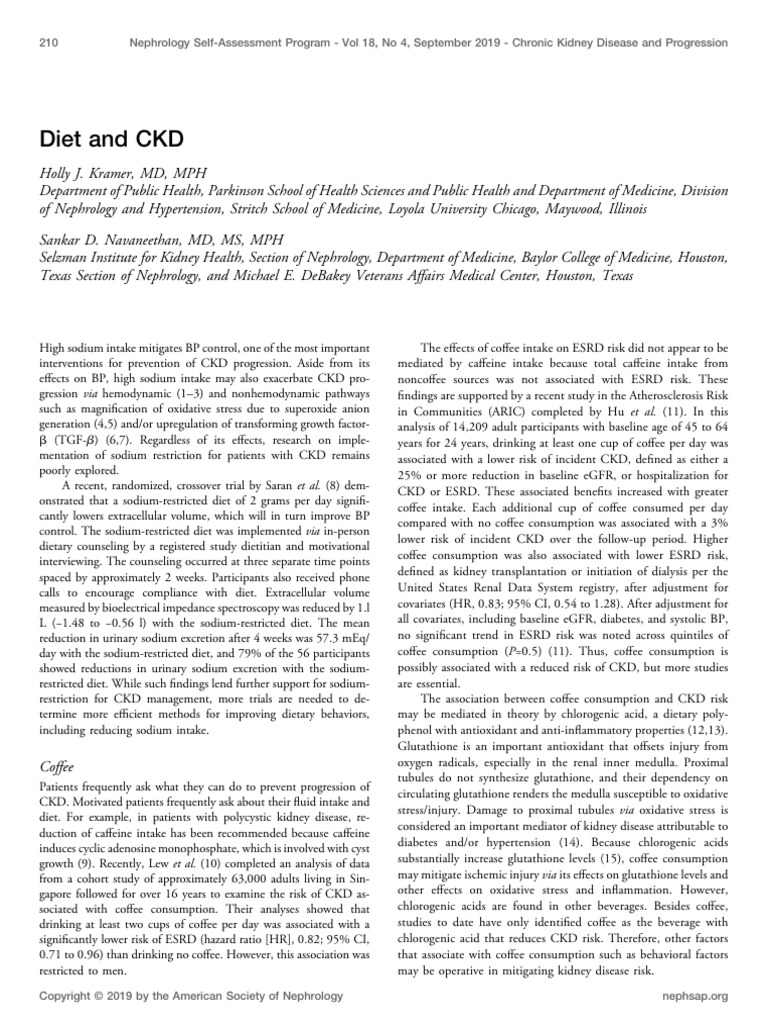 CKD DIET PDF Chronic Kidney Disease Kidney