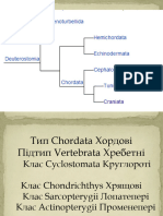 3. Ганоїдні риби